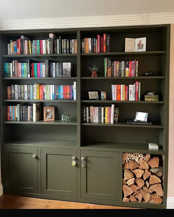 Farrow and Ball Reduced Green painted storage 