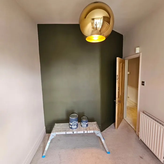 Farrow and Ball Reduced Green accent wall 