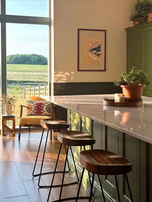 Farrow and Ball Reduced Green kitchen cabinets 