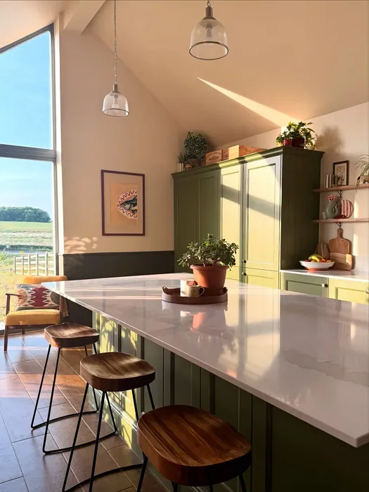 Farrow and Ball Reduced Green kitchen cabinets color