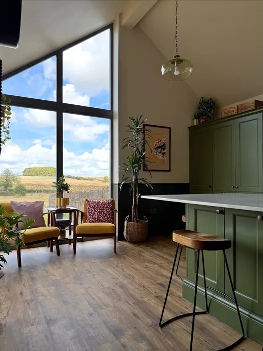 Farrow and Ball Reduced Green kitchen cabinets paint