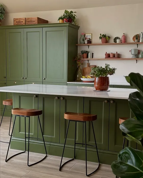 Farrow and Ball Reduced Green kitchen cabinets review