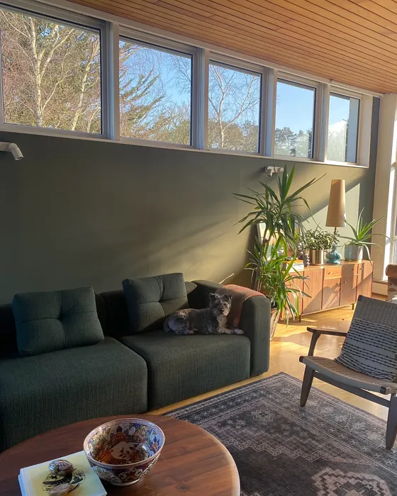 Reduced Green living room paint review