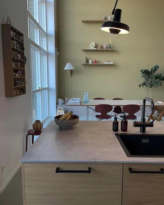 Refined Yellow dining room inspiration