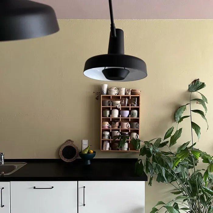 Refined Yellow kitchen interior