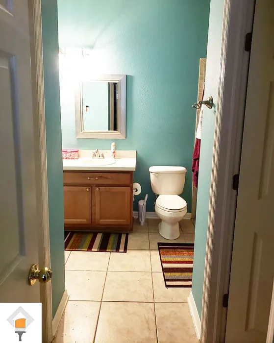 SW Reflecting Pool bathroom paint