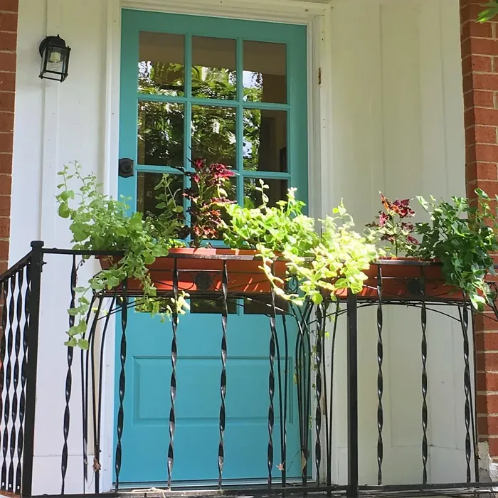 SW Reflecting Pool front door paint review