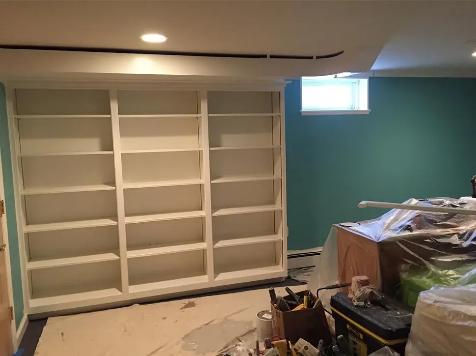 SW Reflecting Pool wall paint review