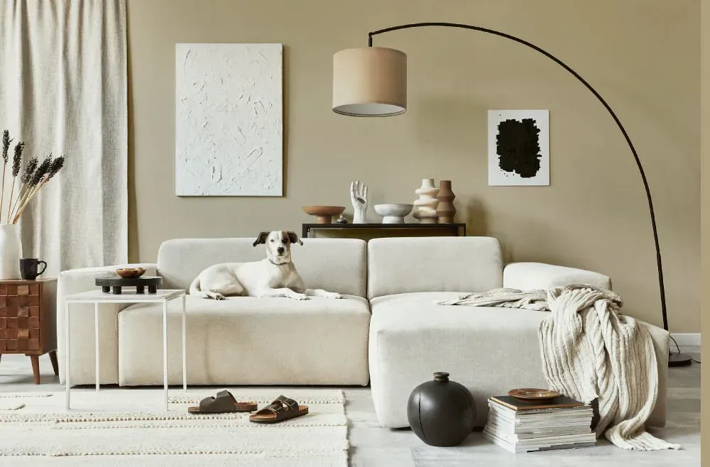 Sherwin Williams Relaxed Khaki cozy living room