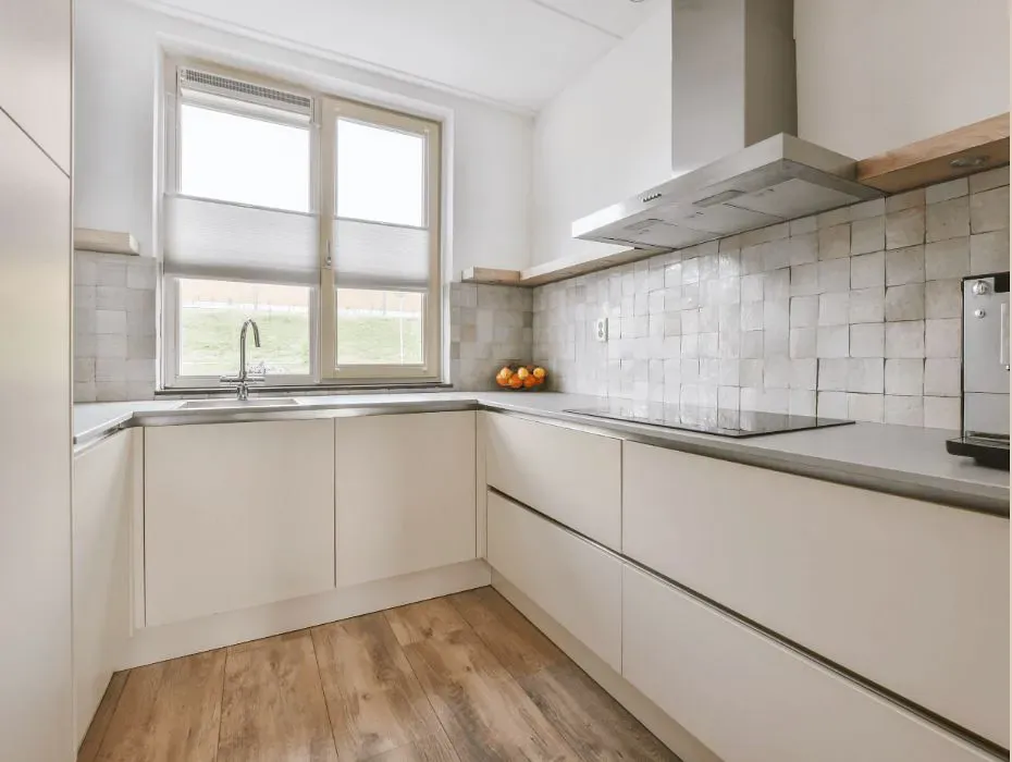 Sherwin Williams Reliable White small kitchen cabinets