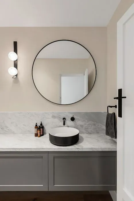 Sherwin Williams Reliable White minimalist bathroom