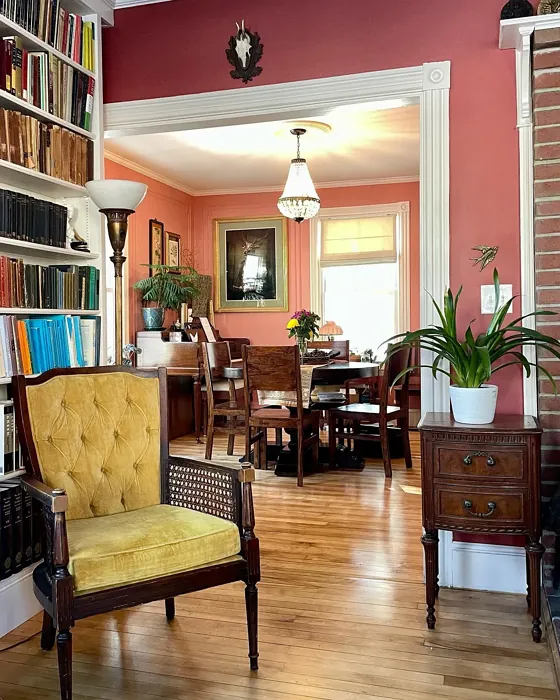 SW Rembrandt Ruby living room paint review