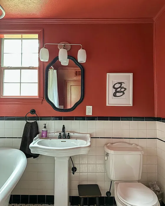 SW Rembrandt Ruby bathroom color