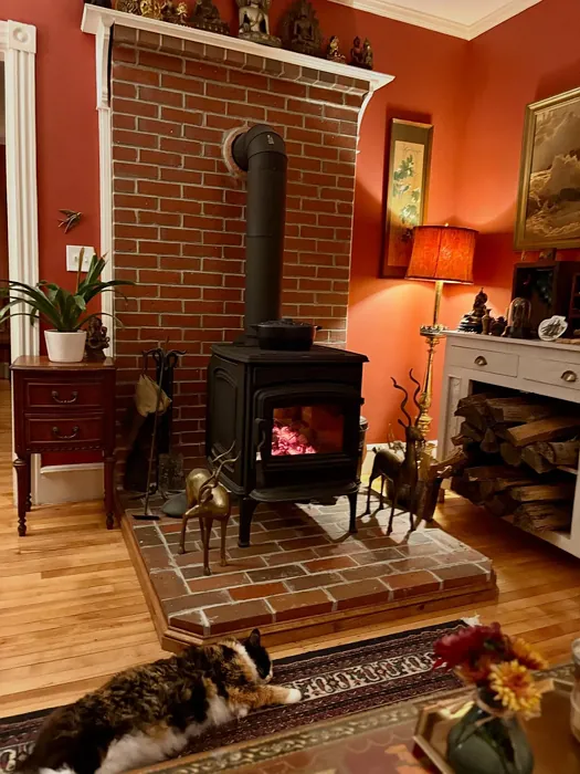 Sherwin Williams Rembrandt Ruby living room picture