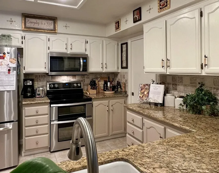 SW Renwick Beige kitchen cabinets color