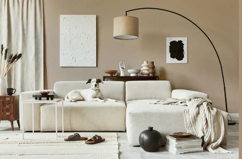 Sherwin Williams Renwick Beige cozy living room