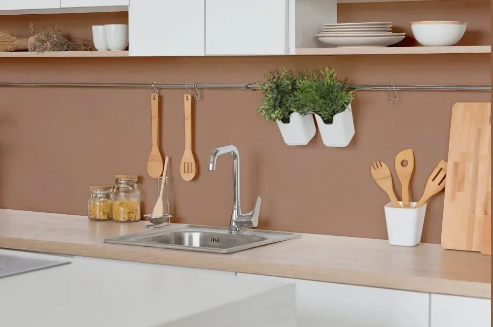 Sherwin Williams Renwick Rose Beige kitchen backsplash