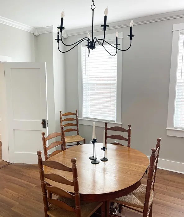 SW Repose Gray dining room review