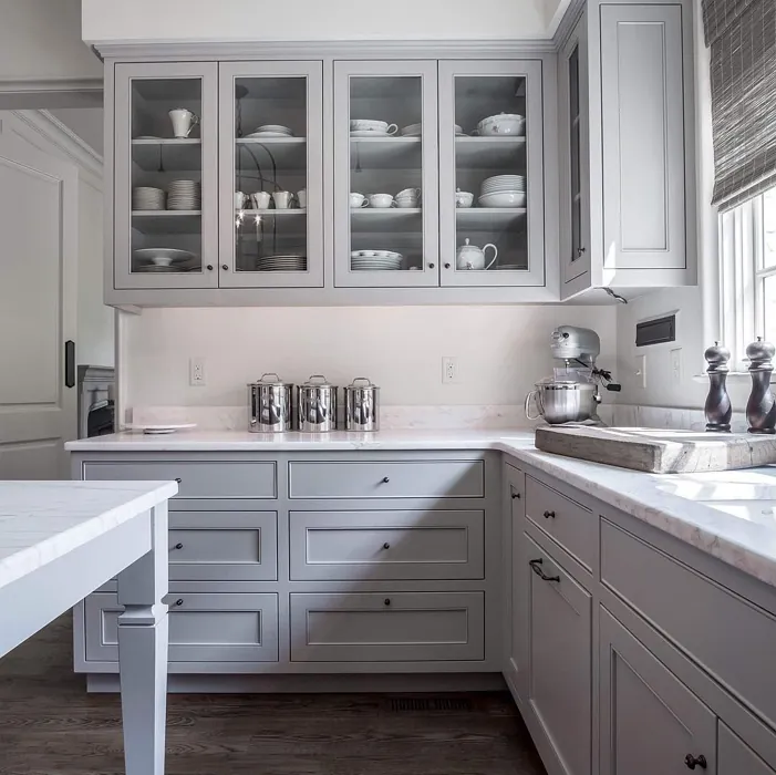 Sherwin Williams Requisite Gray Kitchen Cabinets