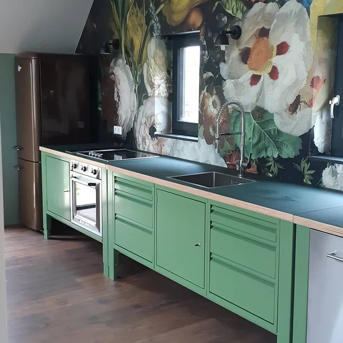RAL Classic  Reseda green RAL 6011 kitchen cabinets