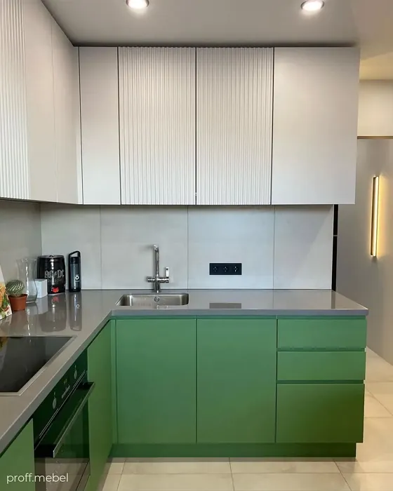 RAL 6011 kitchen cabinets color review