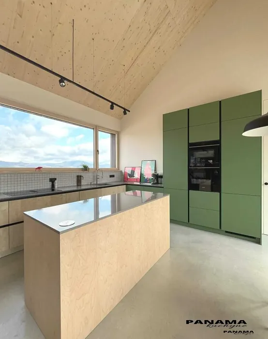  Reseda green kitchen cabinets 