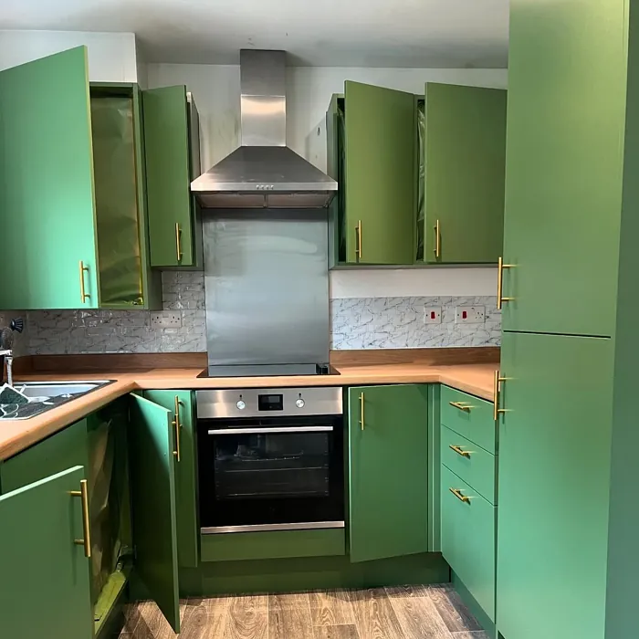 RAL Classic  Reseda green kitchen cabinets 