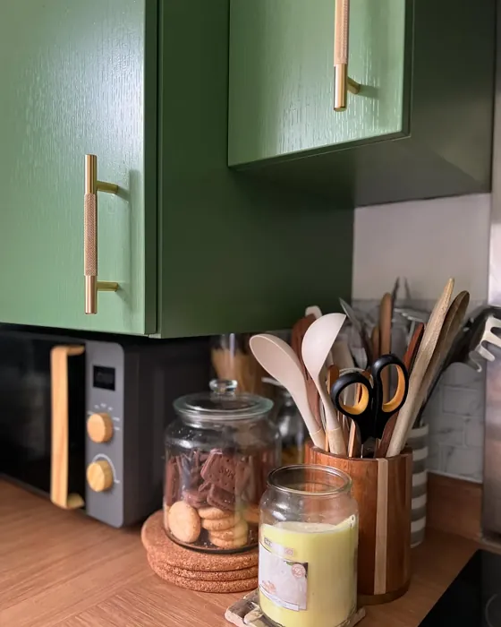 RAL 6011 kitchen cabinets paint review