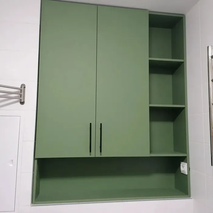 RAL 6011 painted cabinets photo