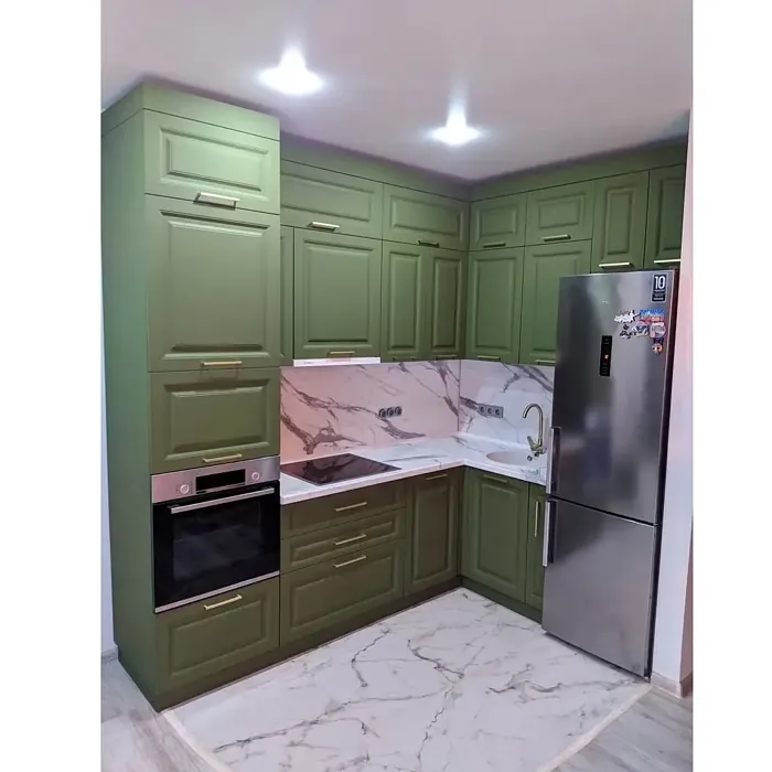 RAL Classic RAL 6011 kitchen cabinets color review