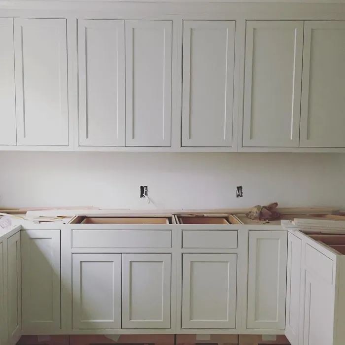 Sherwin Williams Reserved White kitchen cabinets