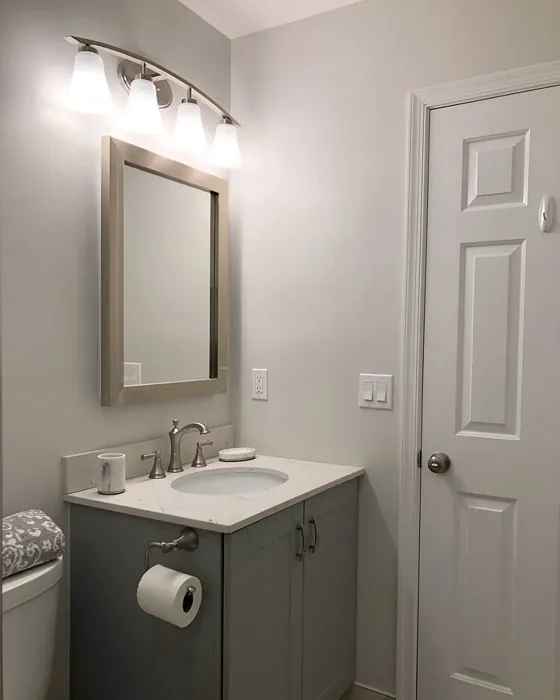 Sherwin Williams Reserved White bathroom