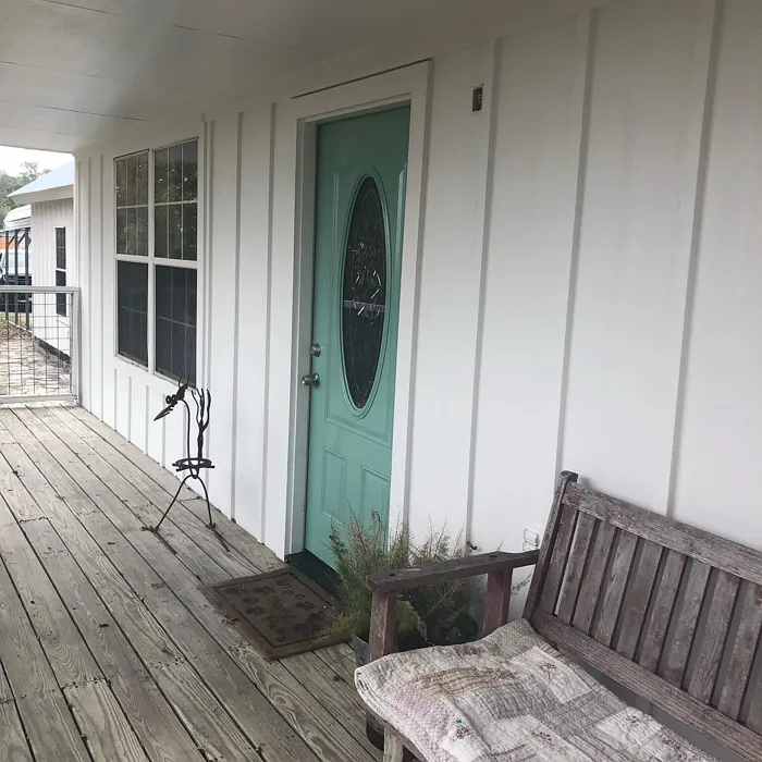 Sherwin Williams Restful front door paint review