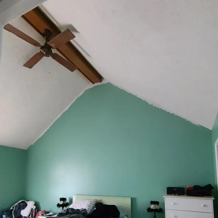 Sherwin Williams Restful bedroom makeover