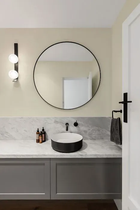Sherwin Williams Restful White minimalist bathroom