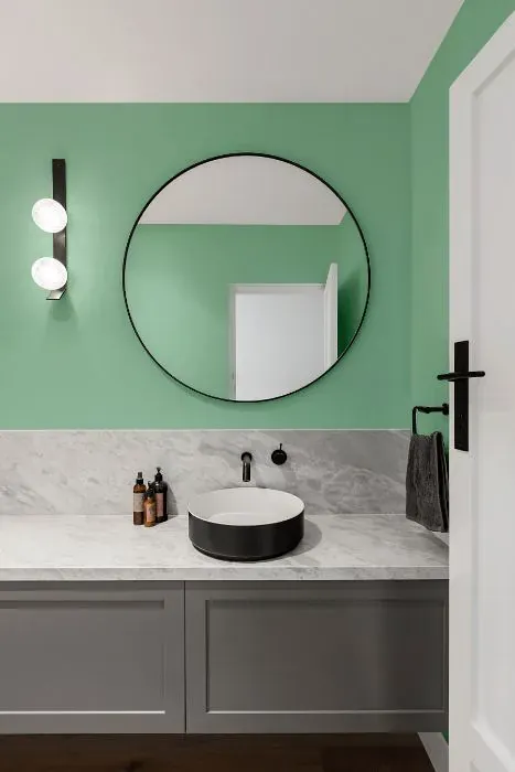 Sherwin Williams Retro Mint minimalist bathroom