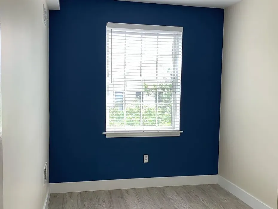 Sherwin Williams Revel Blue accent wall color