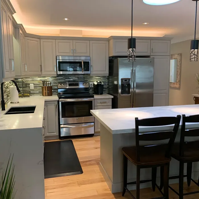 Ice Formations kitchen cabinets color Ice Formations kitchen cabinets color