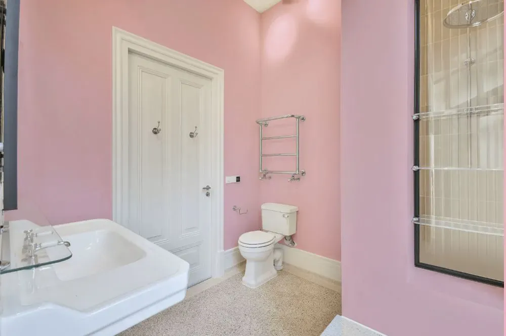 Sherwin Williams Reverie Pink bathroom