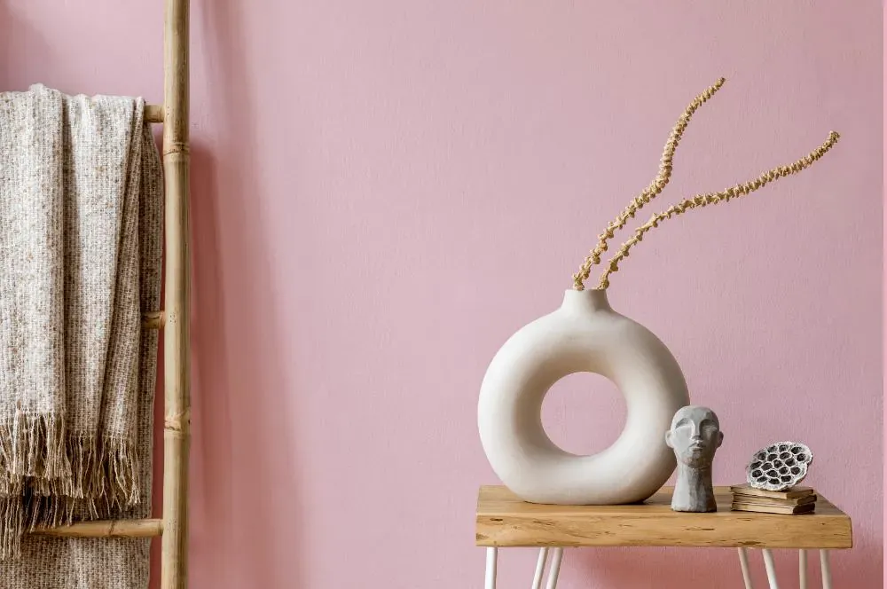 Sherwin Williams Reverie Pink wall