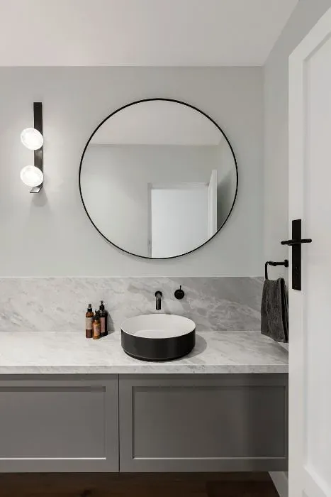 Sherwin Williams Rhinestone minimalist bathroom