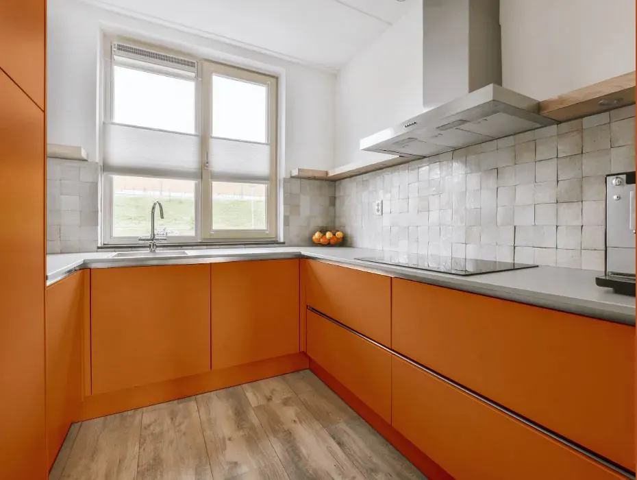 Sherwin Williams Rhumba Orange small kitchen cabinets