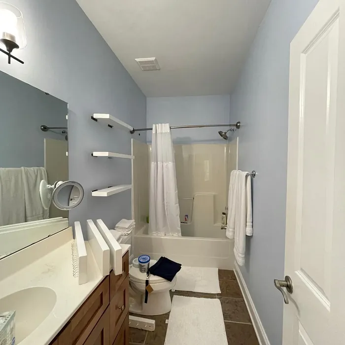 SW Rhythmic Blue bathroom color