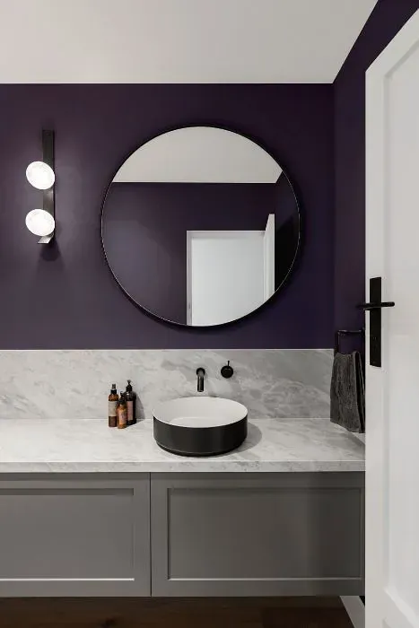 Sherwin Williams Ripe Berry minimalist bathroom
