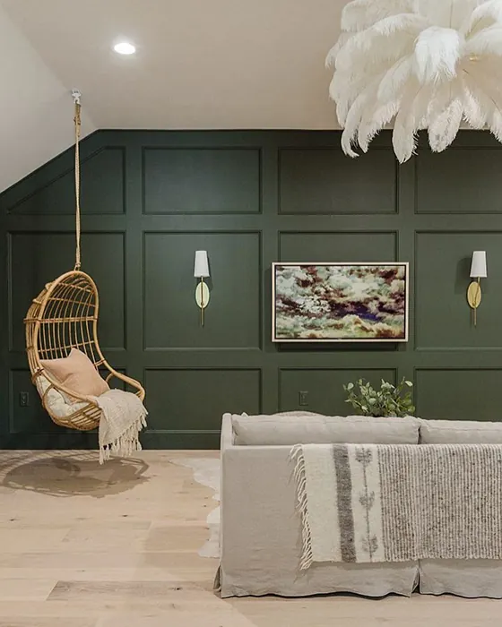 Sherwin Williams Ripe Olive Accent Wall
