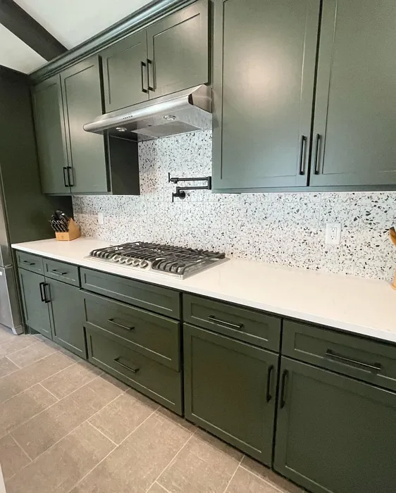 Sherwin Williams Ripe Olive kitchen cabinets color review