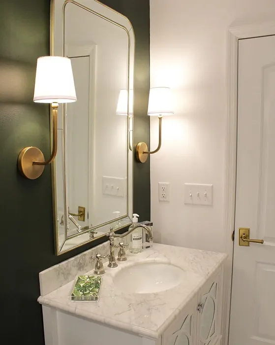Sherwin Williams Ripe Olive bathroom color paint