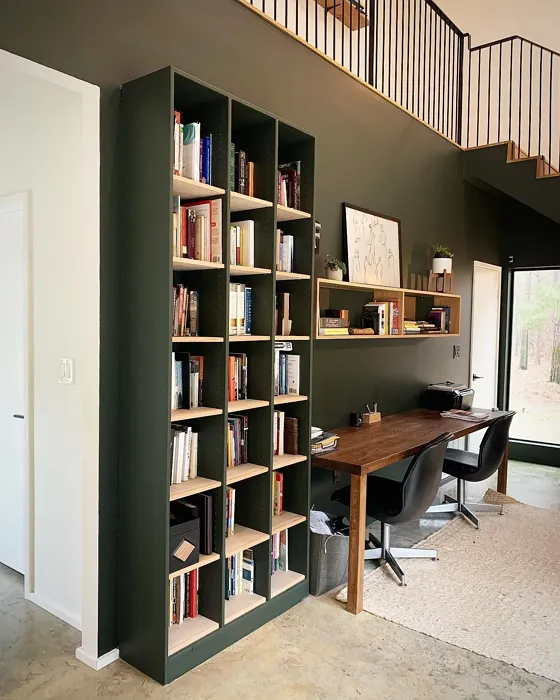 Sherwin Williams Ripe Olive home office color review