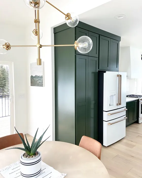 SW 6209 kitchen cabinets color