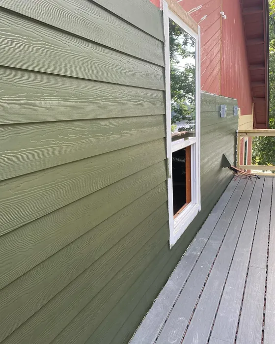 SW Ripe Olive exterior color